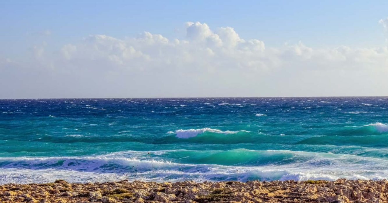 Nature based Solutions for Coastal Destinations Climate Action manual